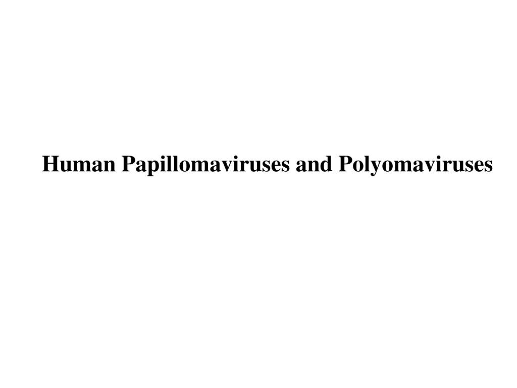 papillomavírus ppt)