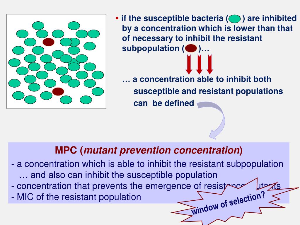 PPT - Latest antibiotic treatment on respiratory tract infections and ...