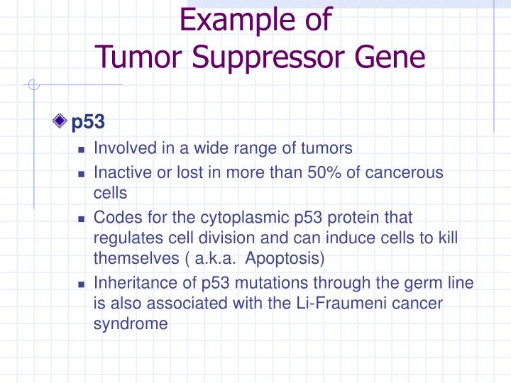 Suppressor, and DNA Repair Genes PowerPoint ... Biology Diagrams