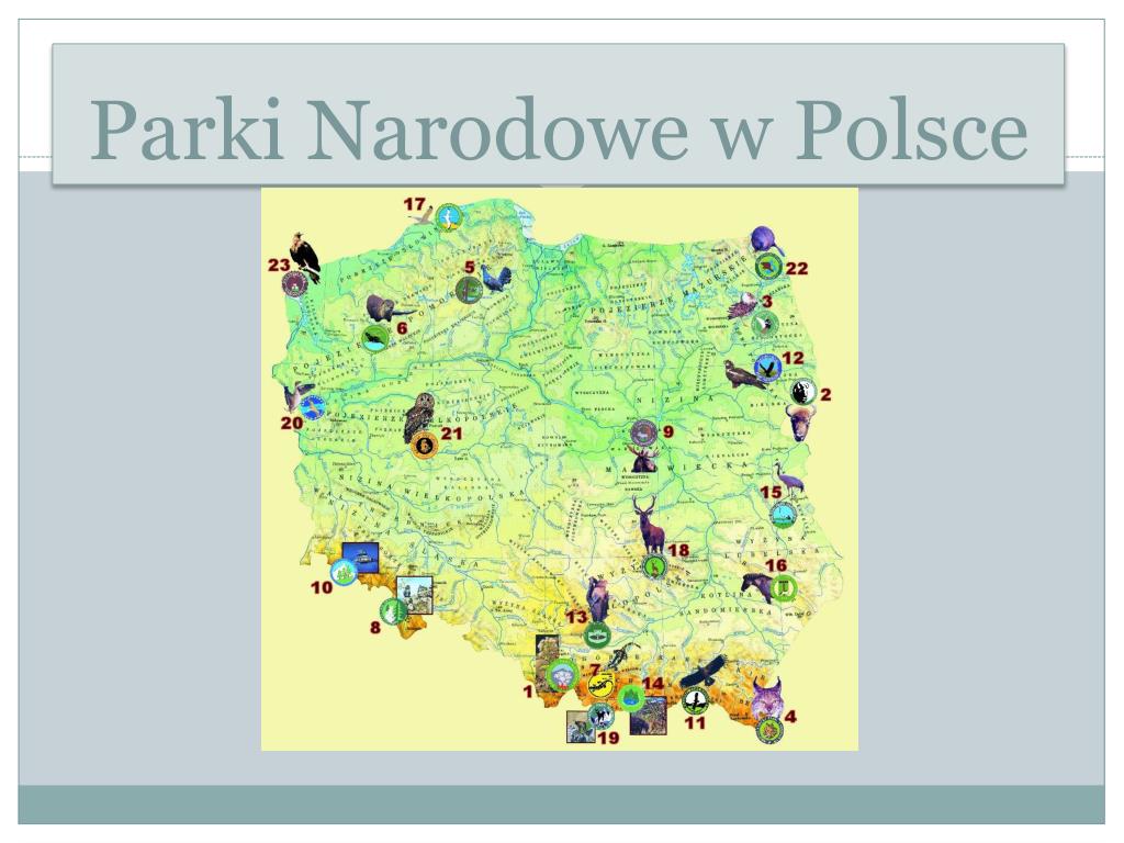 Parki Narodowe W Polsce Prezentacja Dla Dzieci Parki Narodowe W Polsce