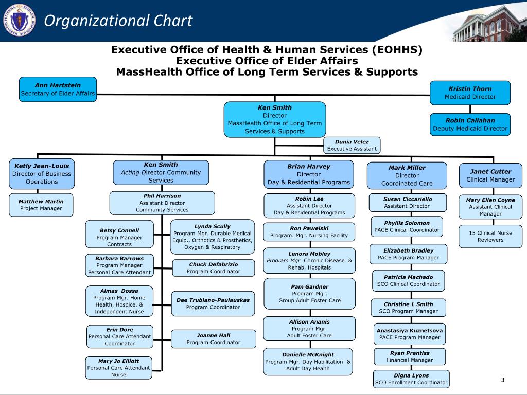 Организационная структура. Организационная структура Ситибанка схема. Диаграмма Organizational Chart. Visa организационная структура компании. Организационная структура беру.