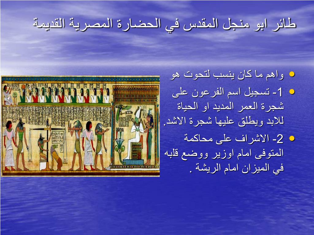 PPT - طائر ابو منجل المقدس في الحضارة المصرية القديمة د ...