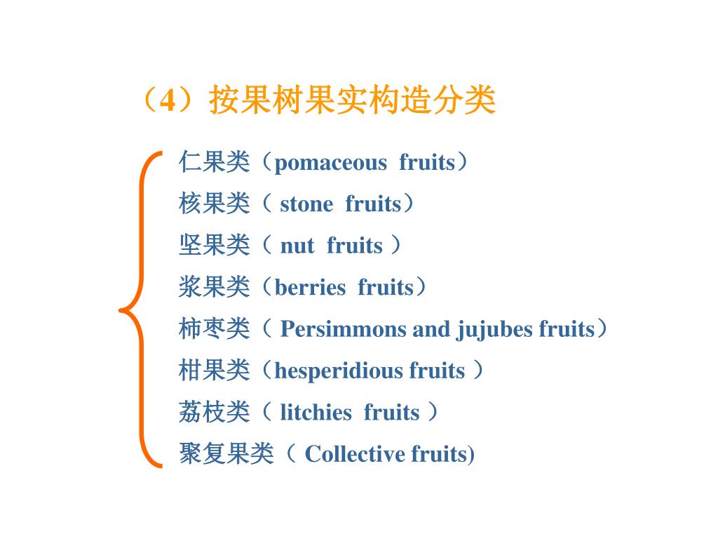 Ppt 仁果类 Pomaceous Fruits 核果类 Stone Fruits 坚果类 Nut Fruits 浆果类 Berries Fruits Powerpoint Presentation Id