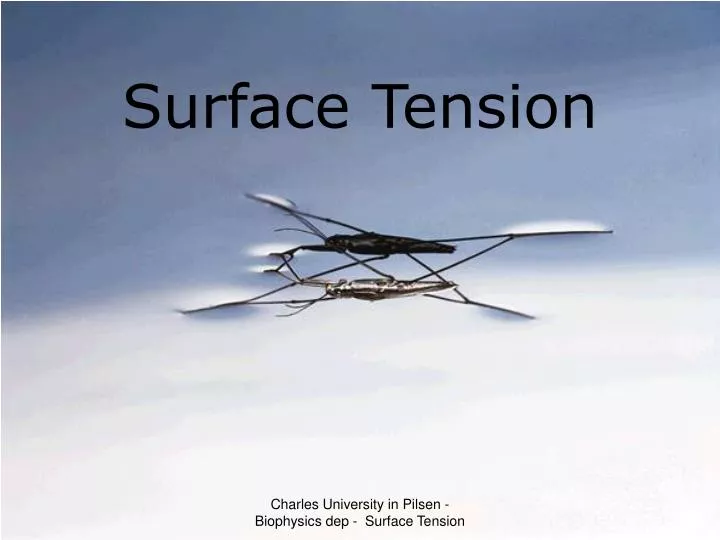 surface tension n.