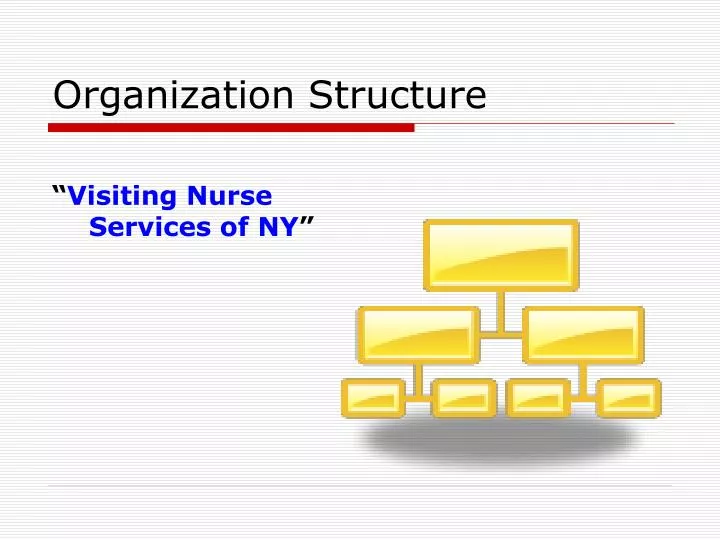 organization structure n.