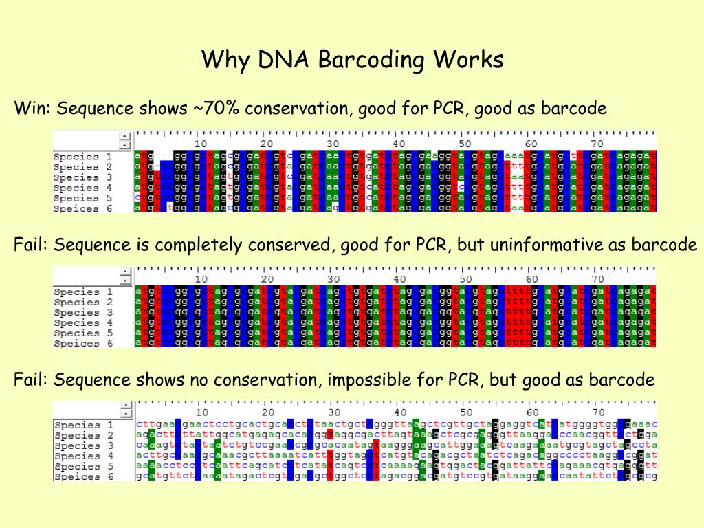 research paper of dna barcoding