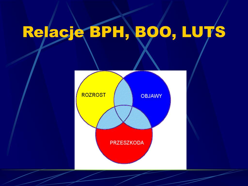 Luts Boo PPT - SMS im. G. Narutowicza w Krakowie PowerPoint Presentation, free ...