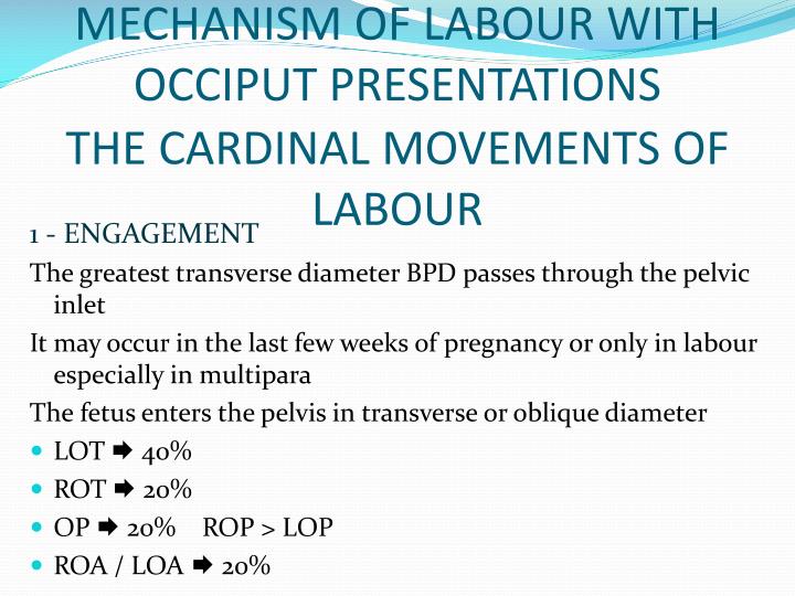order of cardinal movements of labor
