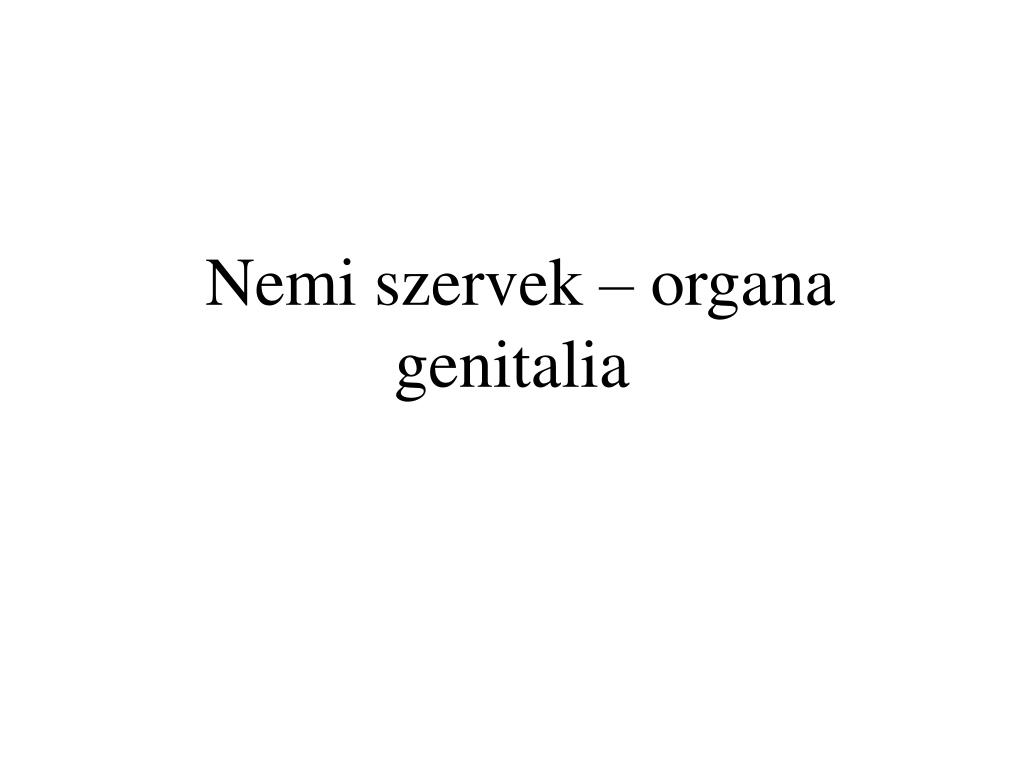 PPT - Nemi Szervek – Organa Genitalia PowerPoint Presentation, Free ...