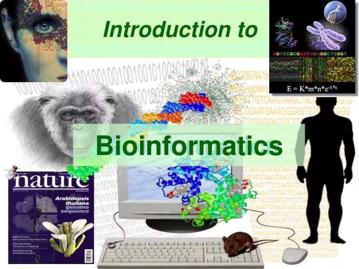 introduction to n.