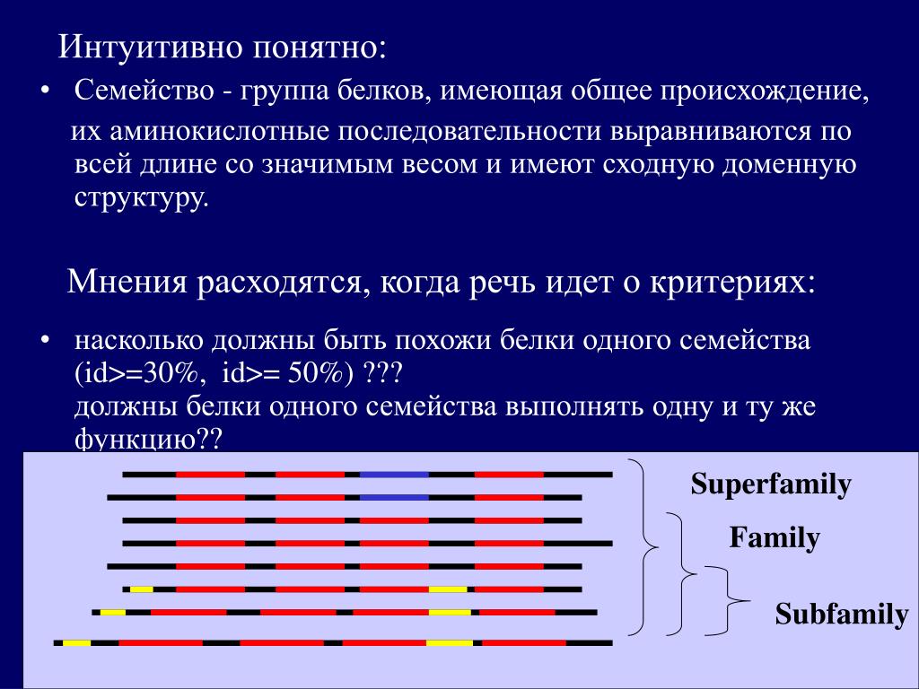 Каждый белок имеет индивидуальную последовательность расположения PPT - Анализ аминокислотной последовательности: PowerPoint Presentation - ID:480