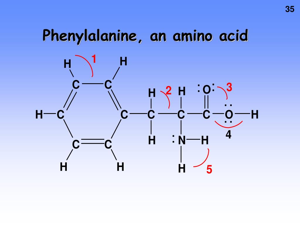 Гептановая кислота изомеры. Amino acid Phenylalanine. Structural Formula Amino acids. Гептановая кислота структурная формула. Amino acid Phenylalanine structure.
