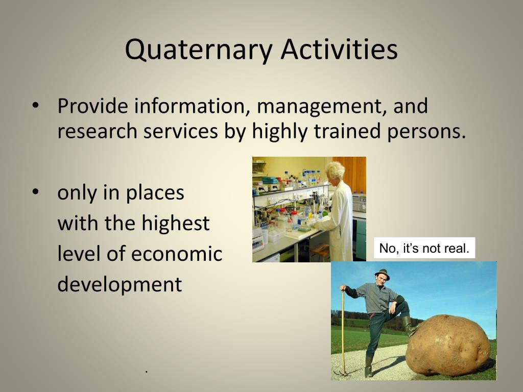 Quaternary economic activity jobs