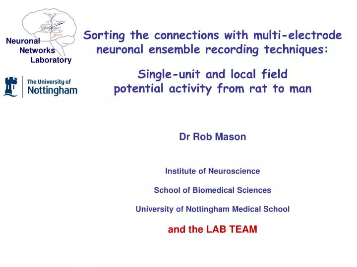 slide1 n.