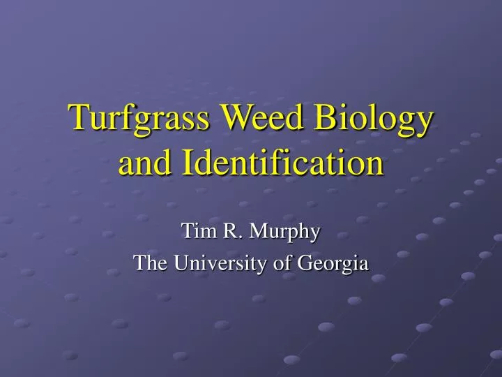 turfgrass weed biology and identification n.