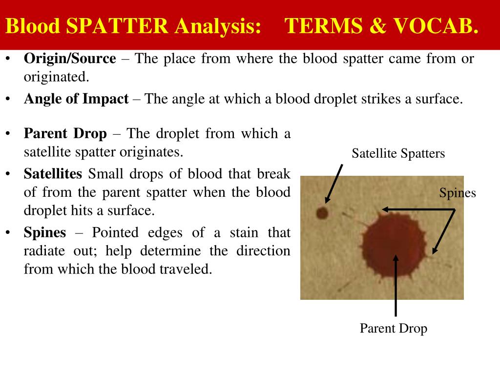 PPT - BLOOD SPATTER ANALYSIS or Blood Pattern Analysis = BPA PowerPoint