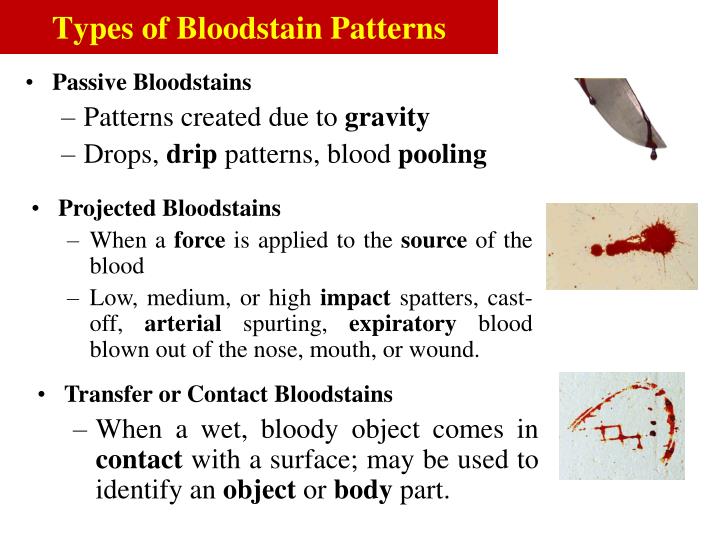 PPT BLOOD SPATTER ANALYSIS or Blood Pattern Analysis = BPA PowerPoint