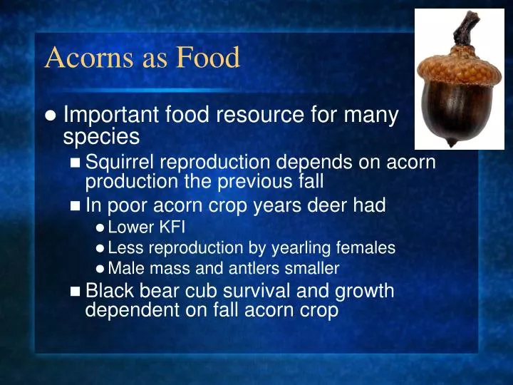 PPT - Acorns as Food PowerPoint Presentation, free download - ID:4804691