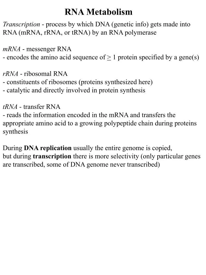 slide1 n.