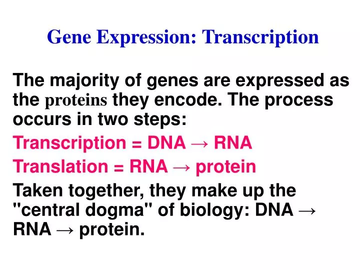 gene construction kit error 199