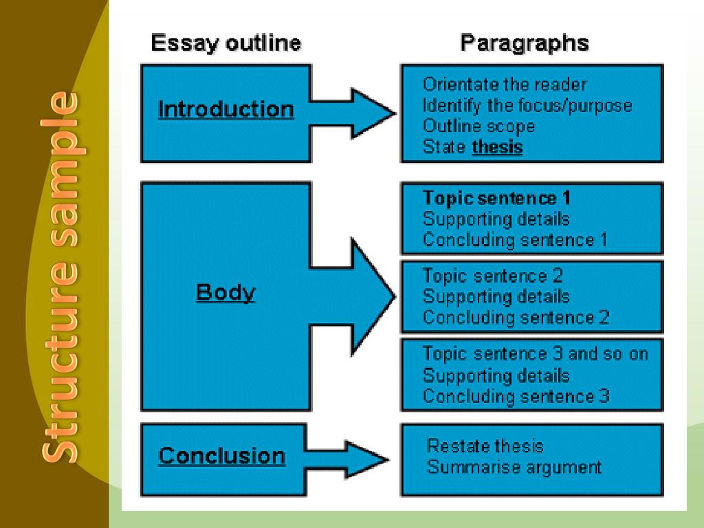 body of an essay is made up of