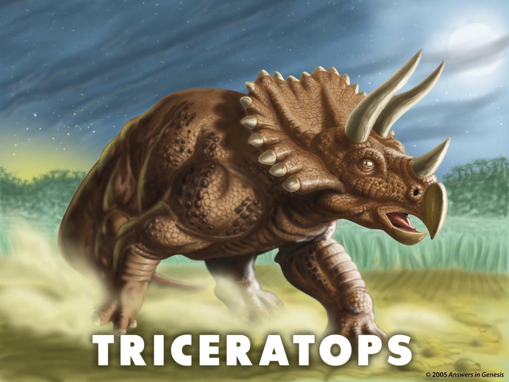 Опиши динозавра. Трицератопс Эра. Динозавр Трицератопс. Трицератопс информация. Трицератопс описание.