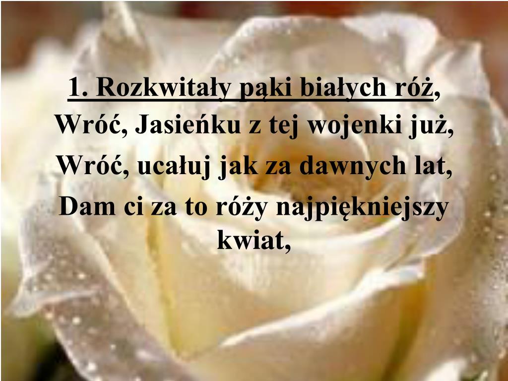 Tekst Piosenki Rozkwitały Pąki Białych Róż PPT - 1918 - odzyskanie NIEPODLEGŁOŚCI PowerPoint Presentation, free
