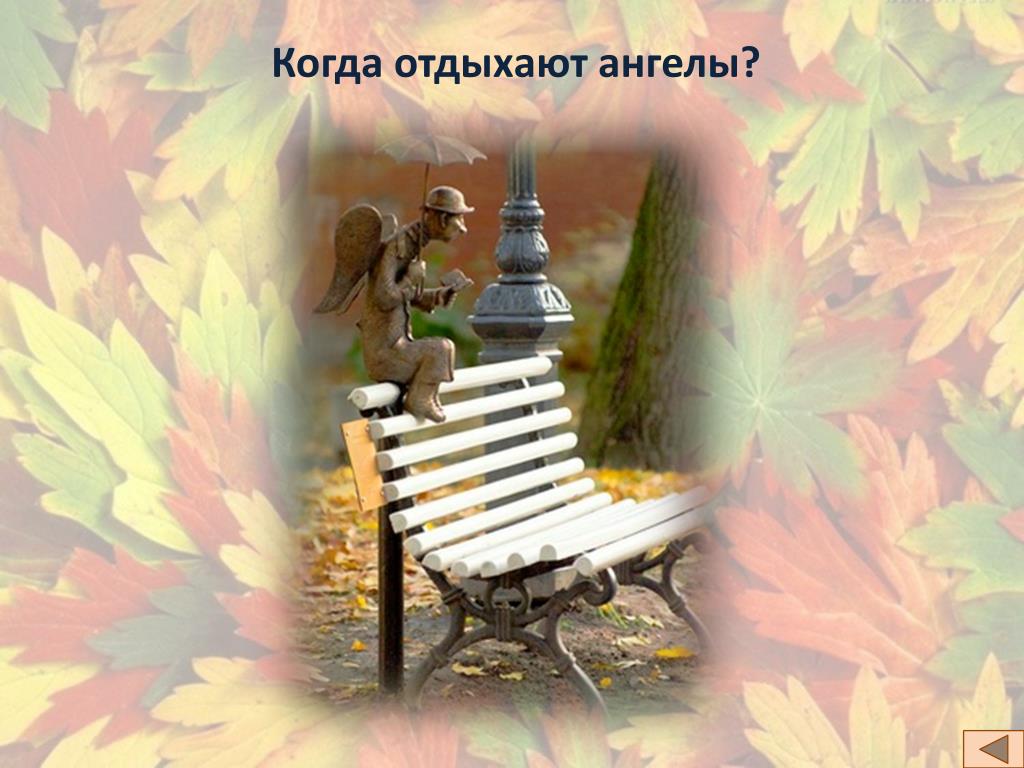 Когда Отдыхают Ангелы Купить Книгу