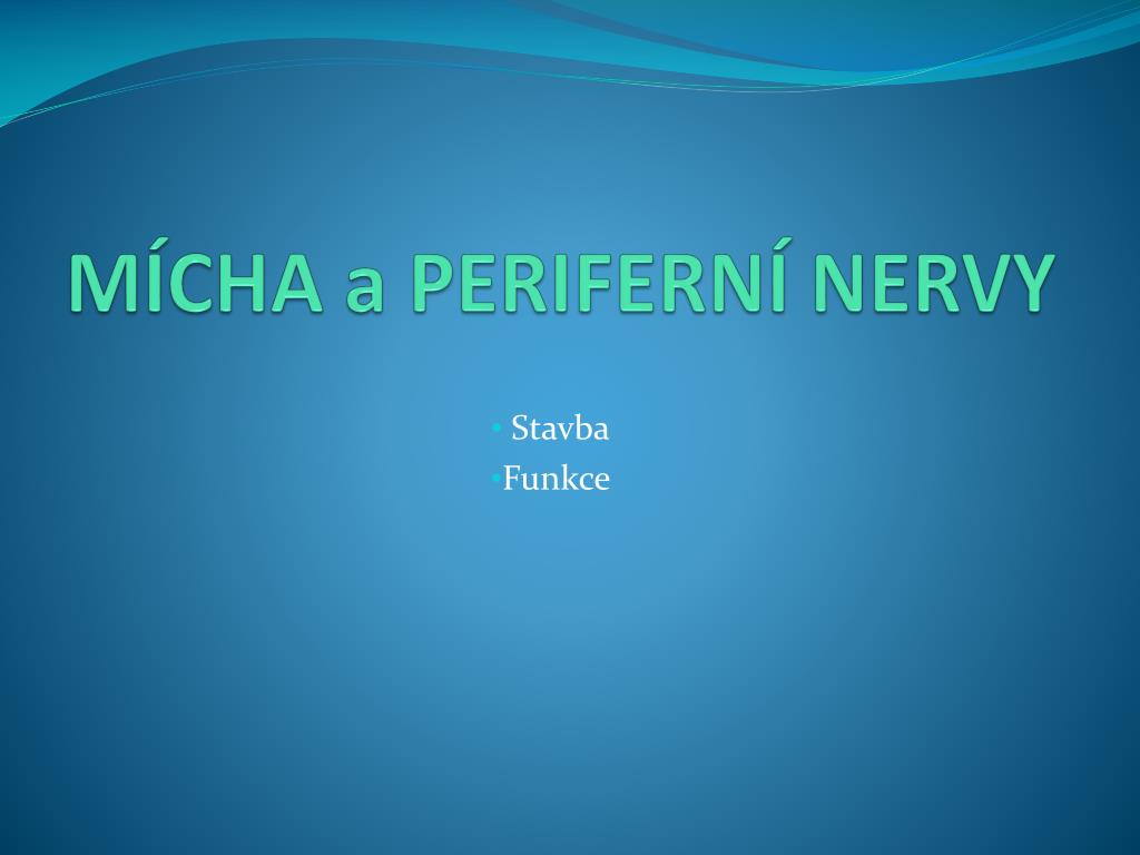 PPT - FUNKČNÍ SYSTÉMY CNS PowerPoint Presentation, free download -  ID:4812105