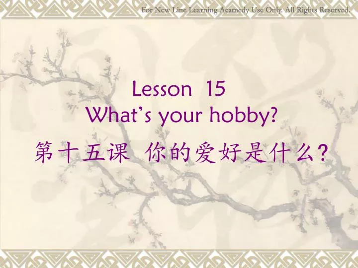 lesson 15 what s your hobby n.