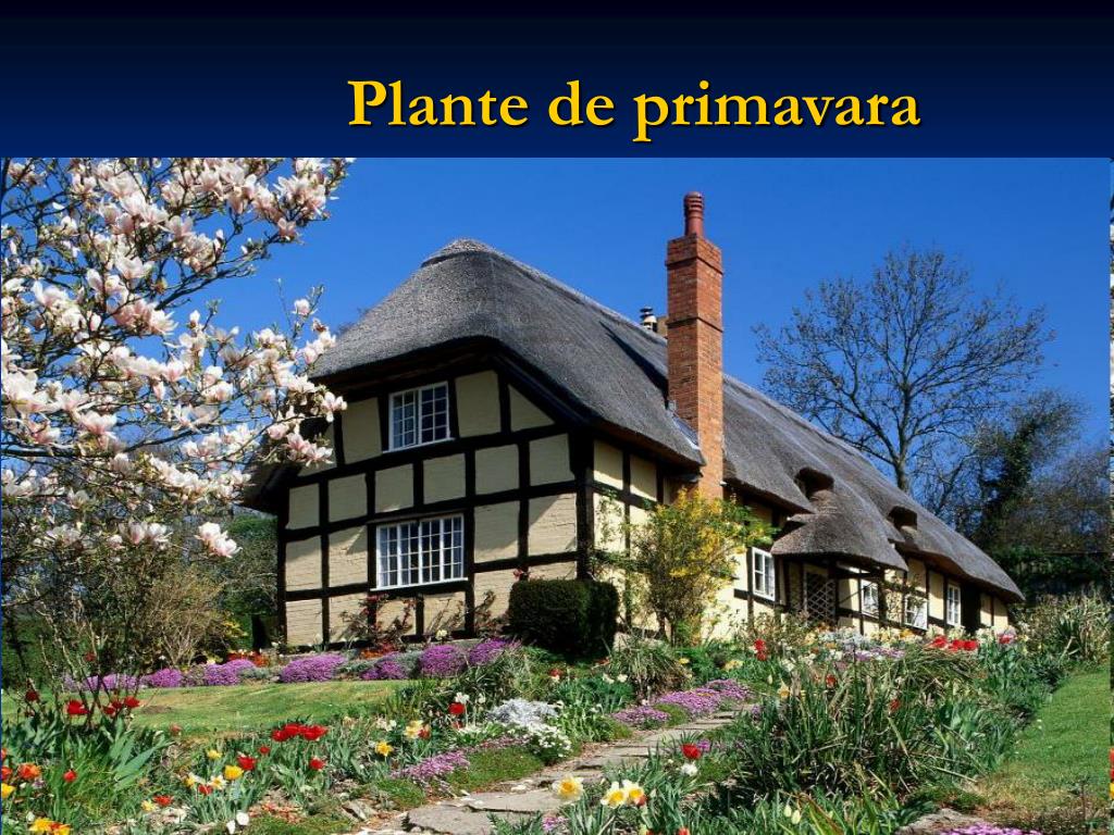 Ppt Plante De Primavara Powerpoint Presentation Free Download