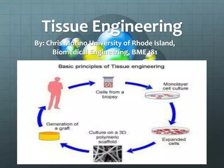 ppt-tissue-engineering-powerpoint-presentation-free-download-id