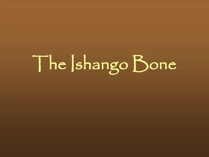 the ishango bone n.
