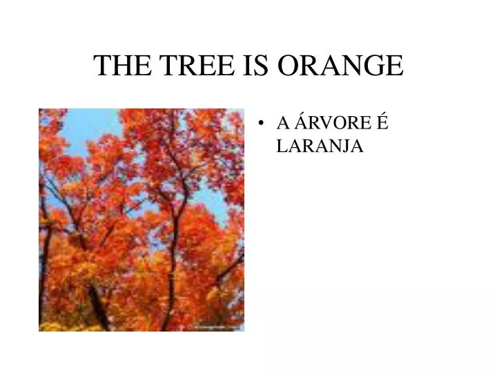 the tree is orange n.