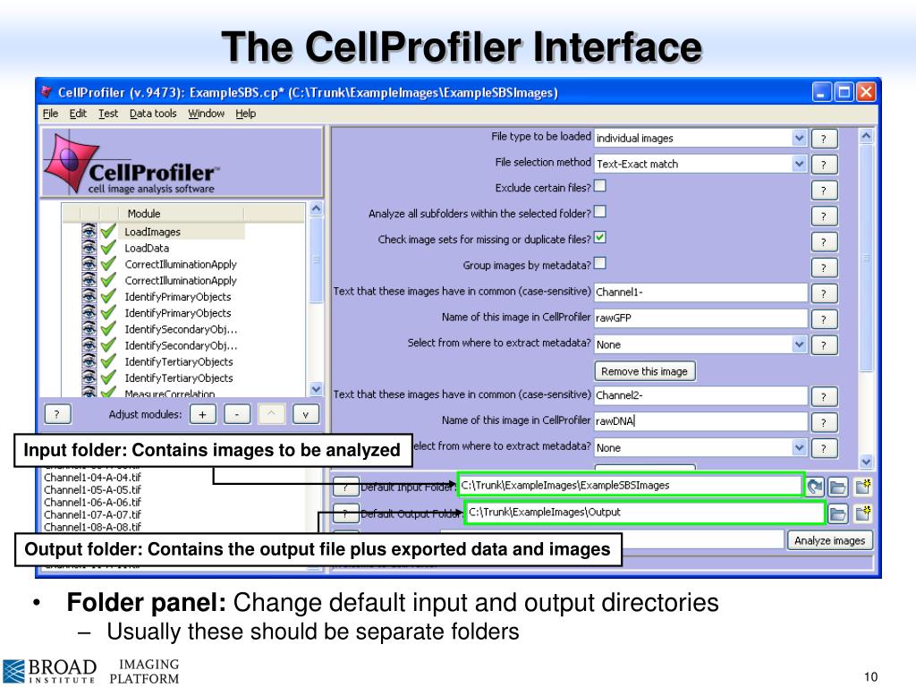 cellprofiler analyst rules explained format