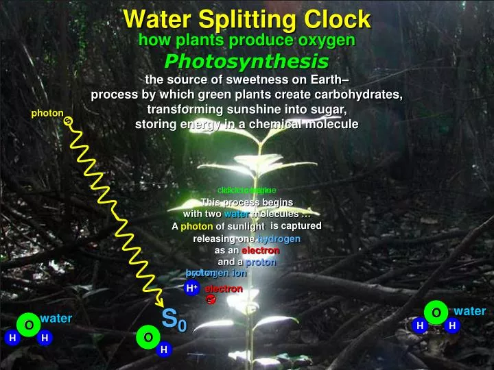 water splitting clock n.