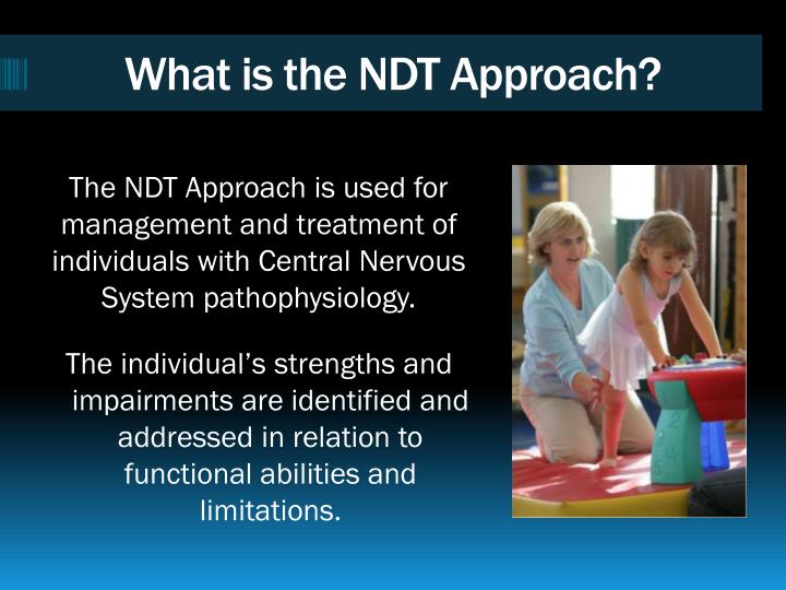 Ppt Neuro Developmental Treatment Association About The Ndta In