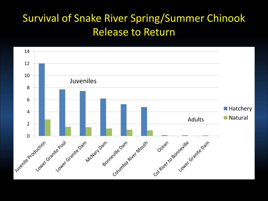 PPT Overview of Current Production Programs Across the Columbia River