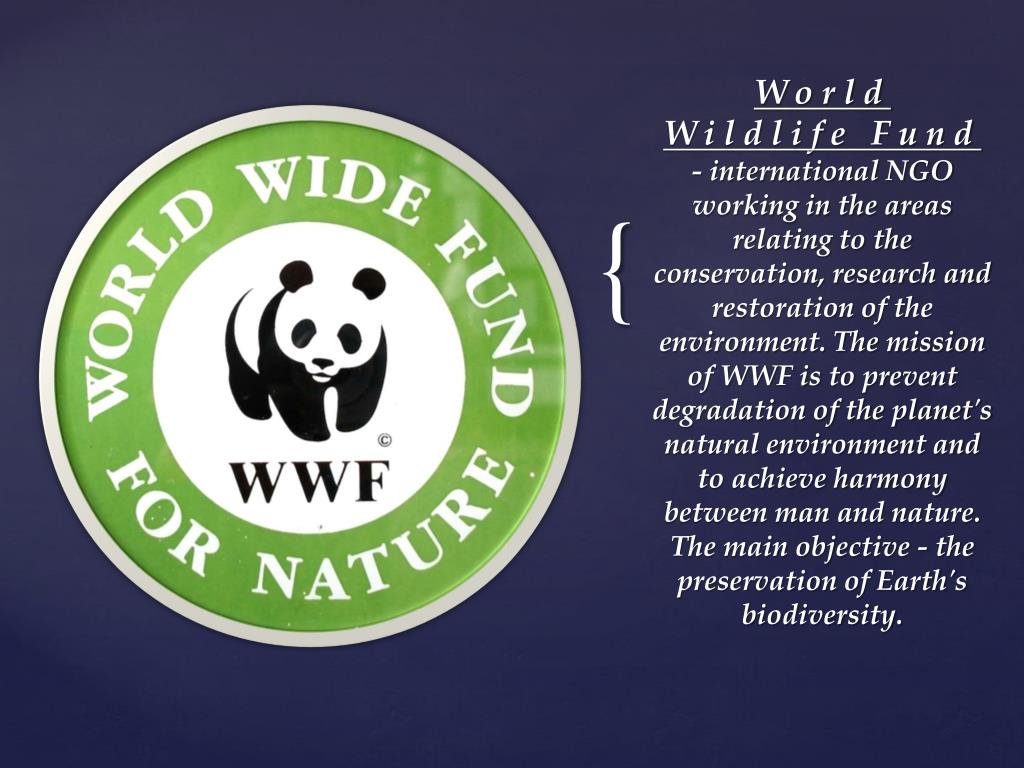 The world wildlife fund is. What is the WWF.