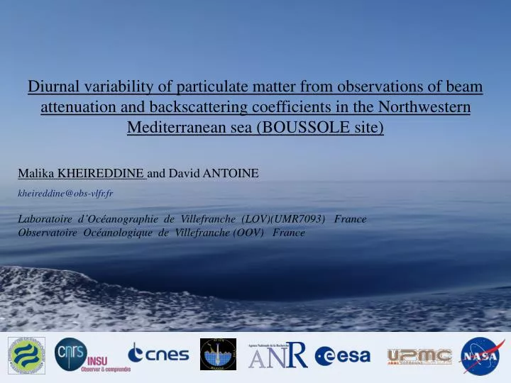 slide1 n.