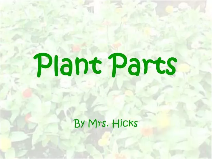 plant parts n.