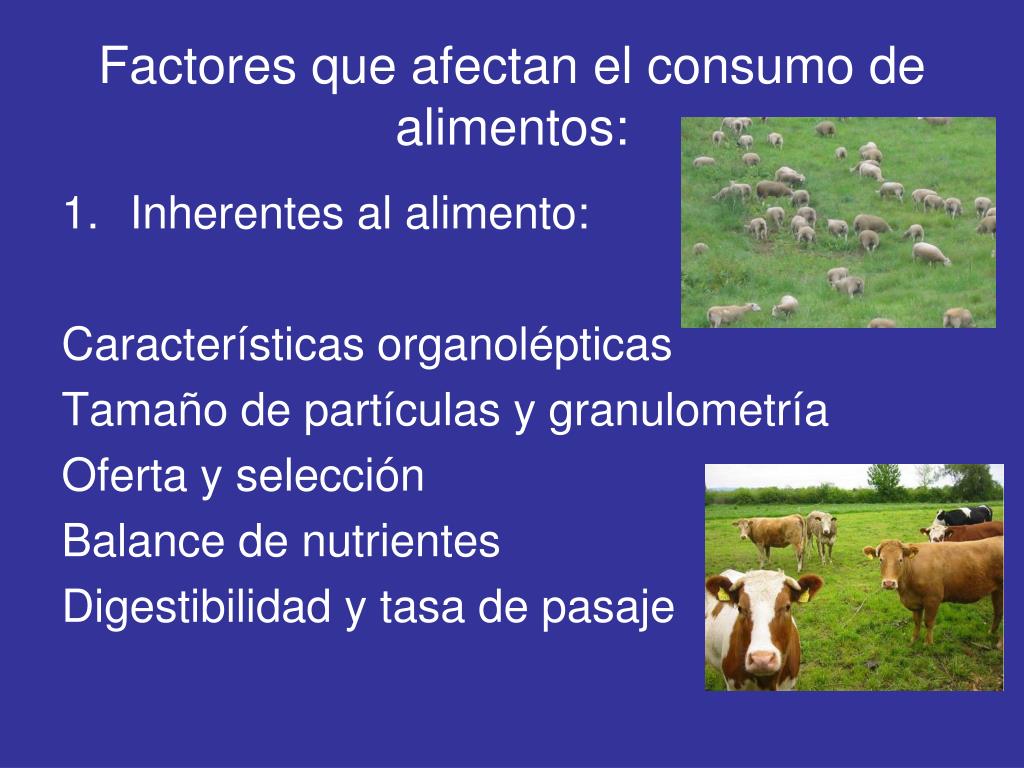 PPT - Factores que regulan el consumo de alimentos PowerPoint