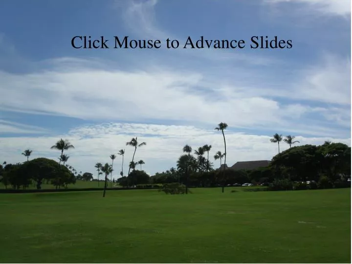 slide1 n.