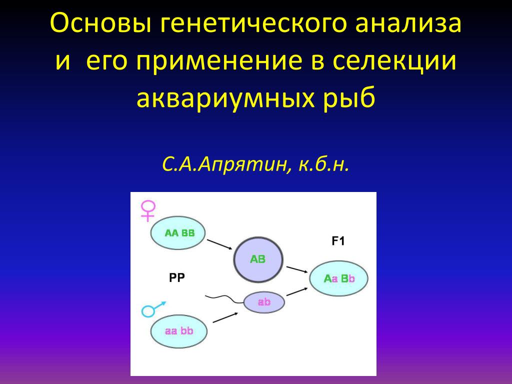 Основы генетики и селекции презентация