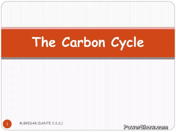 the carbon cycle n.