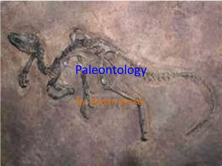 PPT - Paleontology PowerPoint Presentation, Free Download - ID:4822918