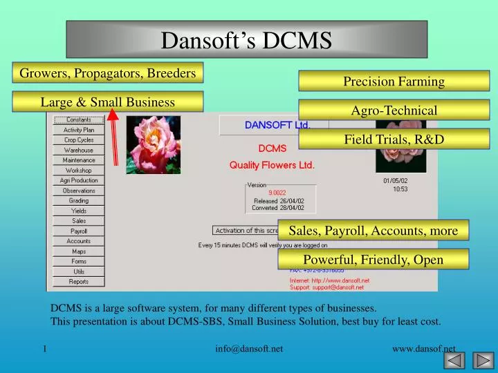 dansoft