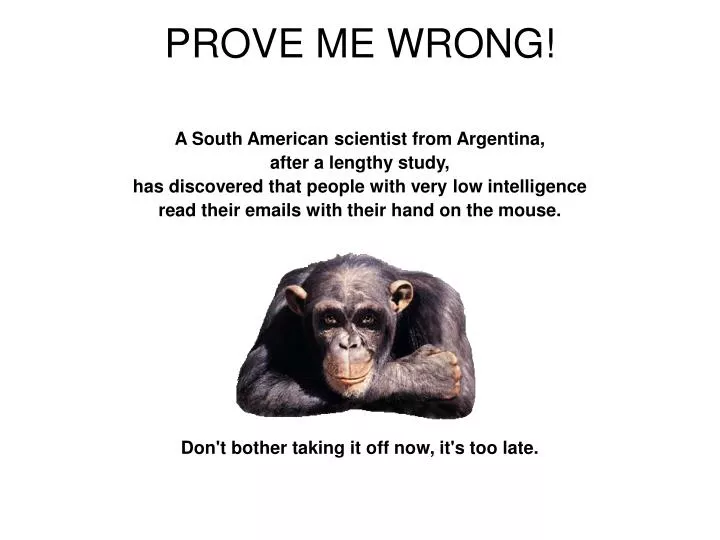prove me wrong n.
