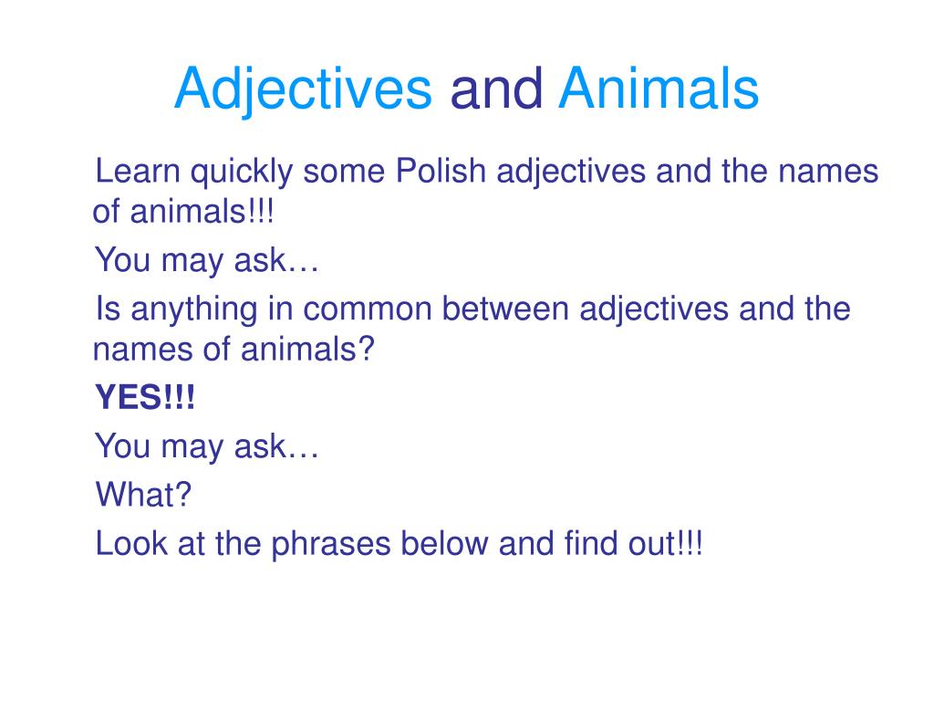 PPT - Adjectives and Animals PowerPoint Presentation, free download -  ID:4827149