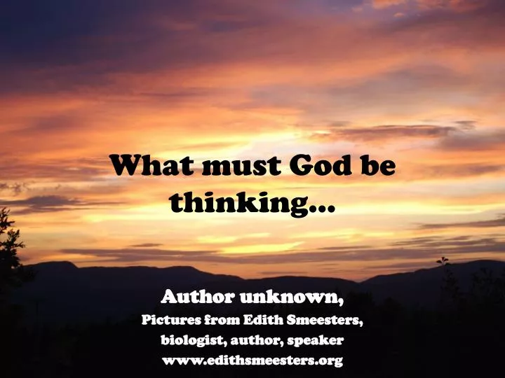 what must god be thinking n.